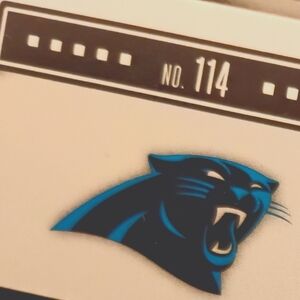 Carolina Panthers 9 Assorted Mint Cards